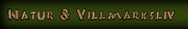 Villmark